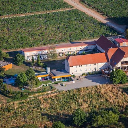 Hotel Du Bollenberg - Restaurant "Cote Plaine" - Spa De La Colline Westhalten Dış mekan fotoğraf